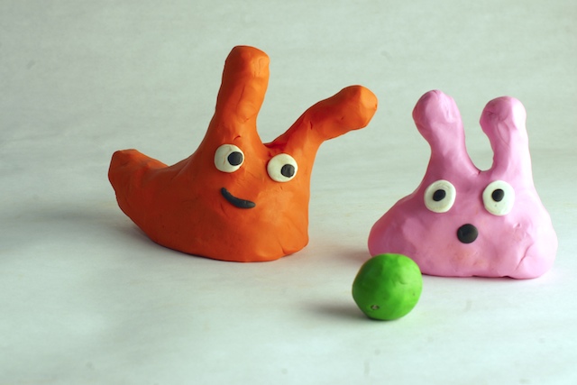Photos of slugs