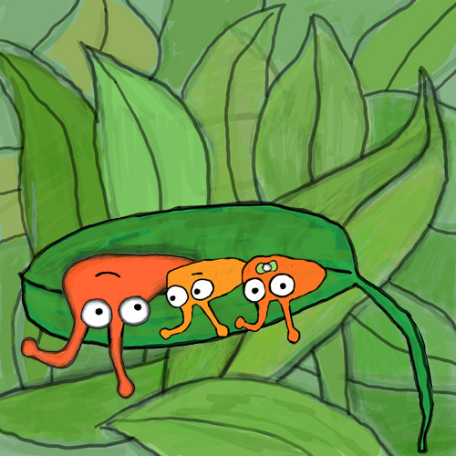 Three slugs hanging from a plant leaf.